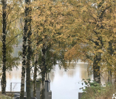 1-комн, 30кв м, этаж 2/9 улица Чекистов, 4