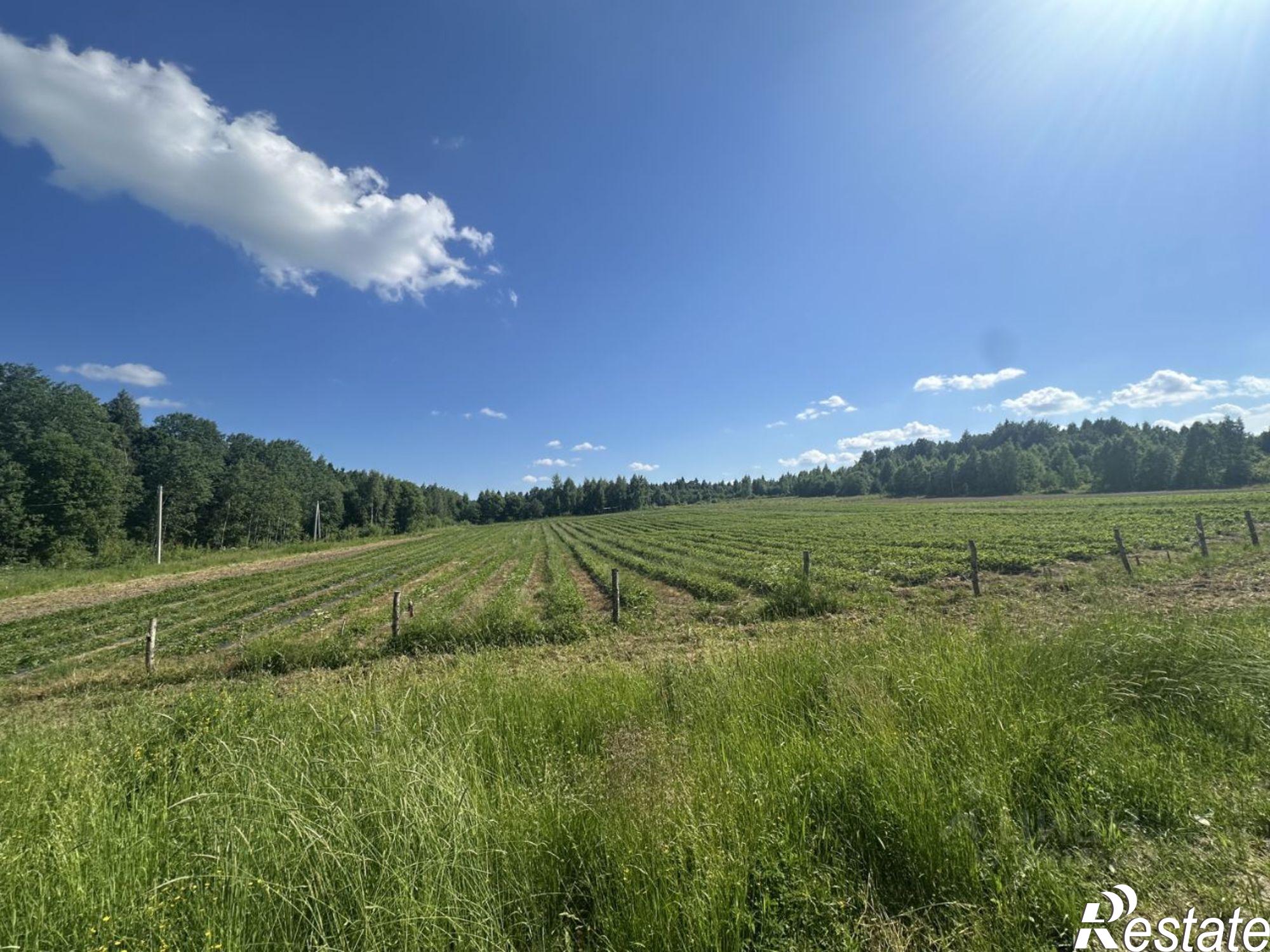 Купить землю, земельный участок за 17 000 000 рублей