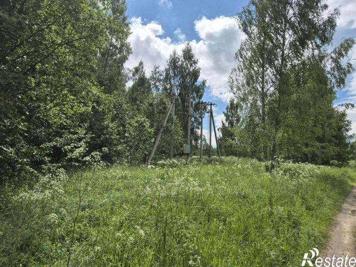Земельный участок