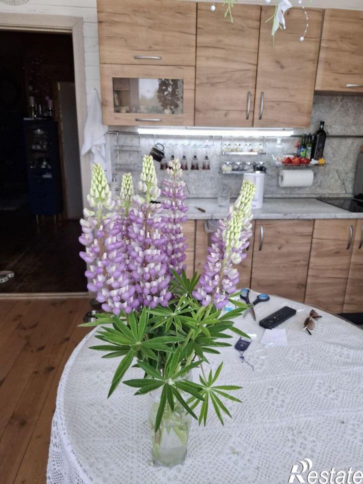 Коттедж/дом