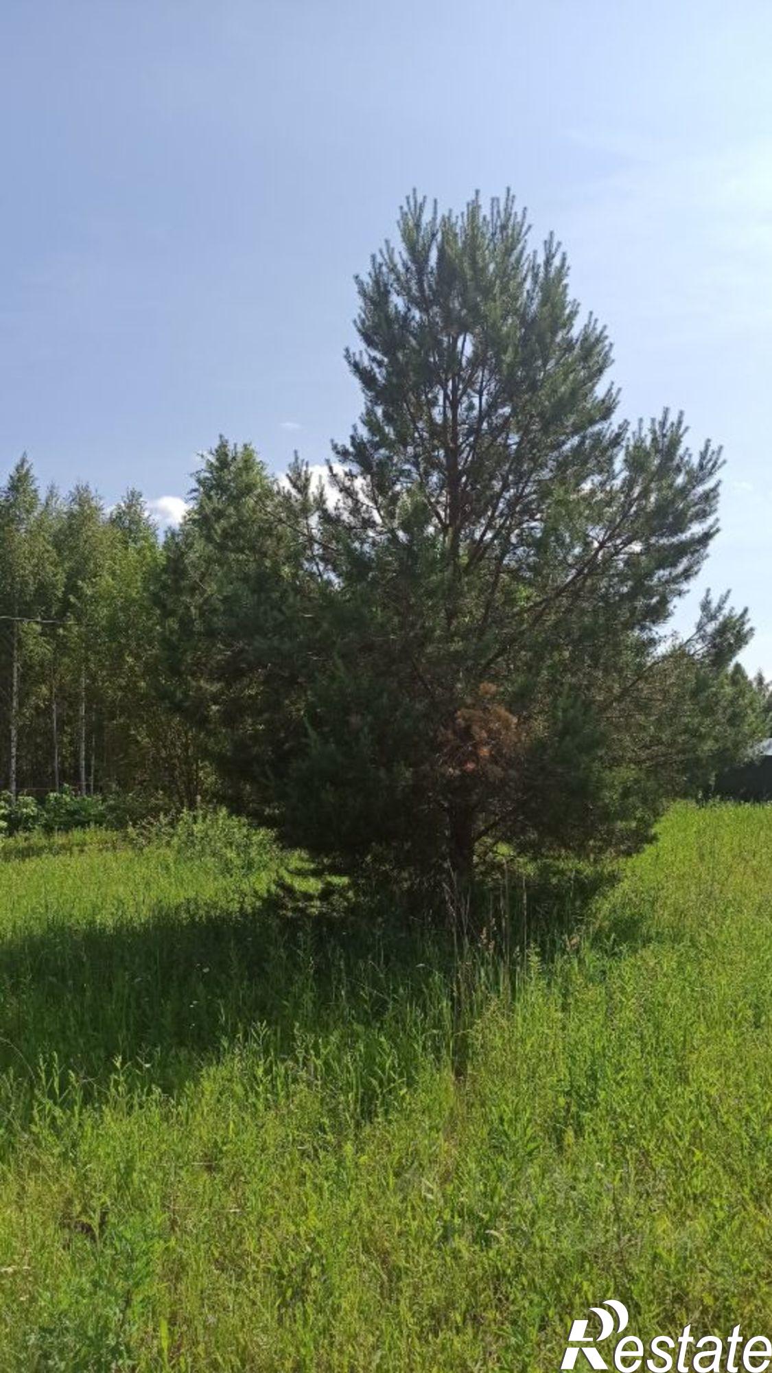 Купить землю, земельный участок за 1 700 000 рублей