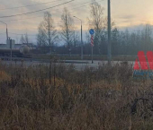 земля 30 сот п. Ивняки