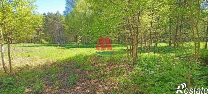 Земельный участок п. при профилактории "Строитель"